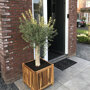 Planter hardhout vierkant voor de deur